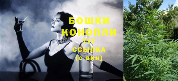 спайс Алексин