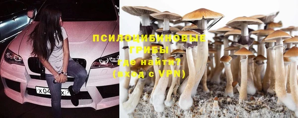 спайс Алексин