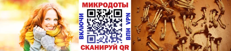 где купить   Задонск  Галлюциногенные грибы ЛСД 